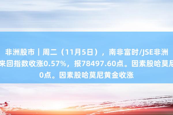 非洲股市｜周二（11月5日），南非富时/JSE非洲跳动40可